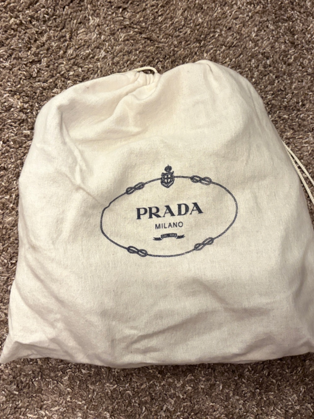 Prada Suede Shoulder Purse w/ Cream Drawstring Dust Bag with Navy Logo - Picture 4 of 4